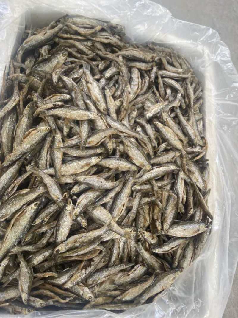 油炸白肖蓝刀