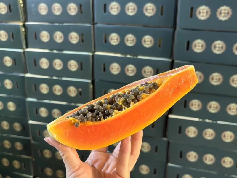 树熟大青红心木瓜货量充足欢迎有想法的联系