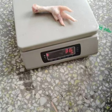 二级鸡爪2.5吨