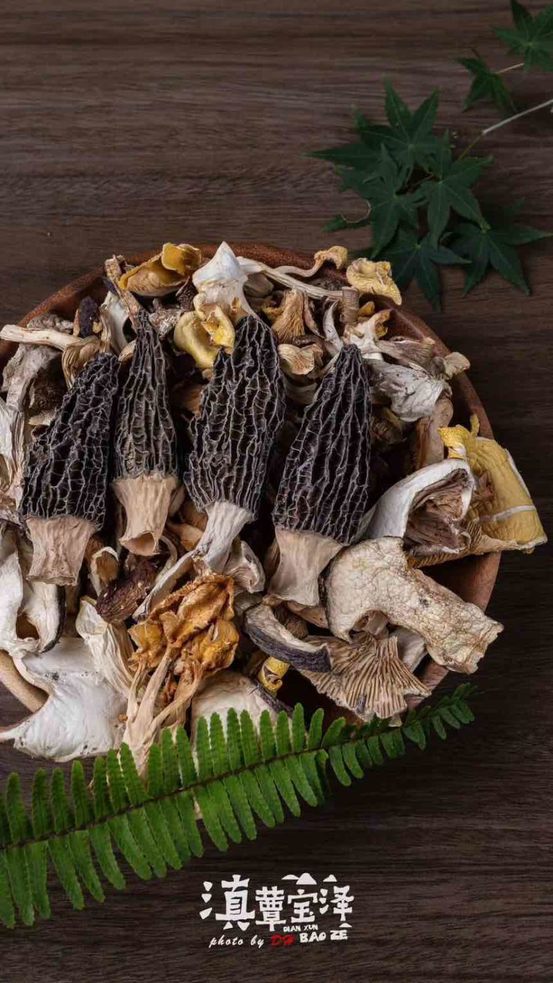 正宗云南高山林下仿野种植6-8cm羊肚菌，羊肚菌