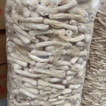 云南西双版纳林下红托竹荪，3A级特级红托竹荪