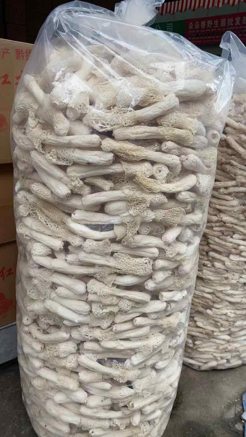 云南西双版纳林下红托竹荪，3A级特级红托竹荪
