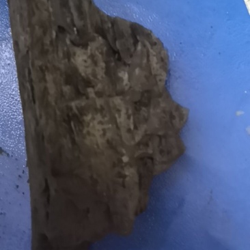 果木炭
