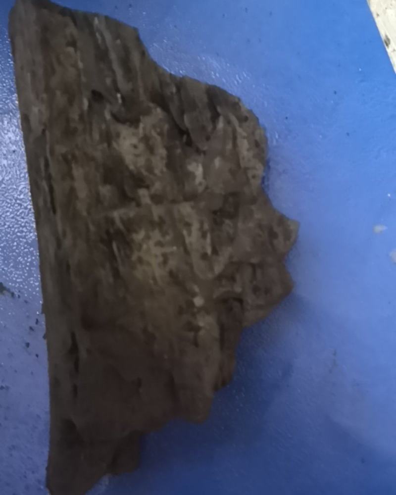果木炭