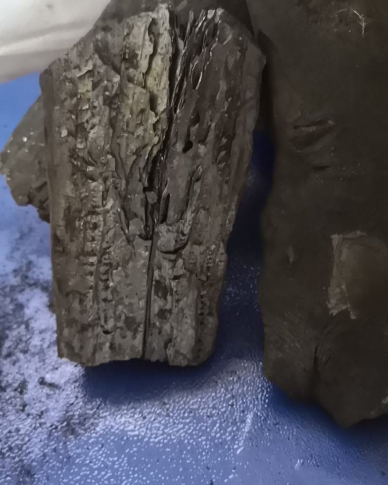 果木炭