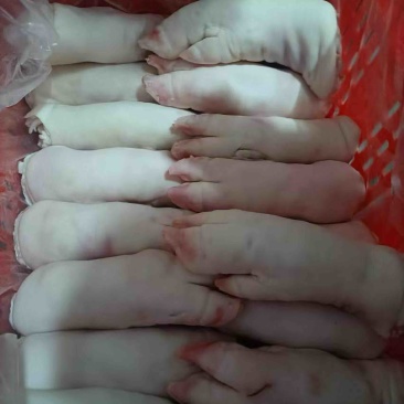 双汇鲜猪蹄，价优、货足