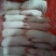 双汇鲜猪蹄，价优、货足