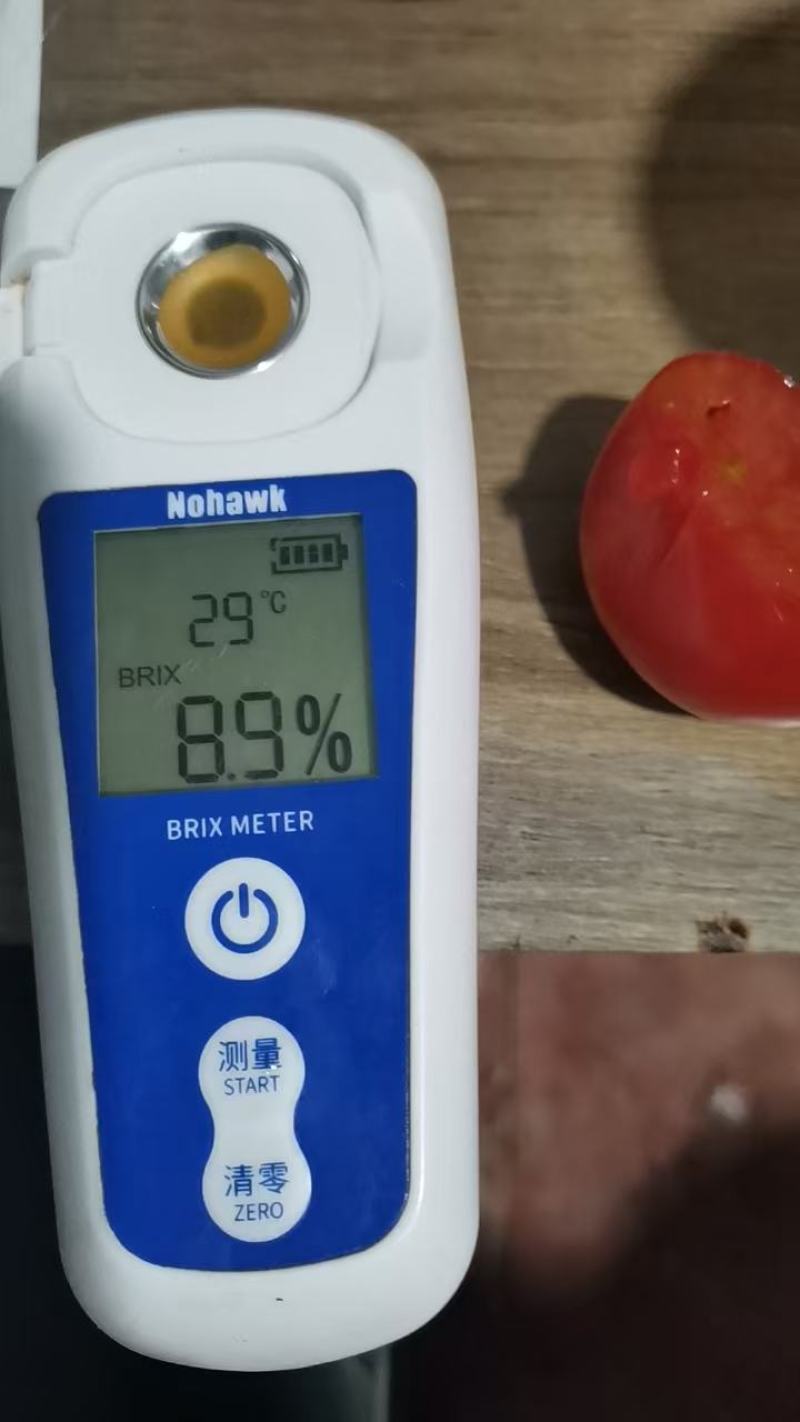 甘肃碱地草莓柿子大量上市