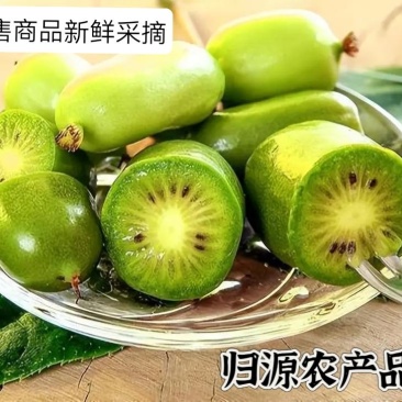 软枣猕猴桃