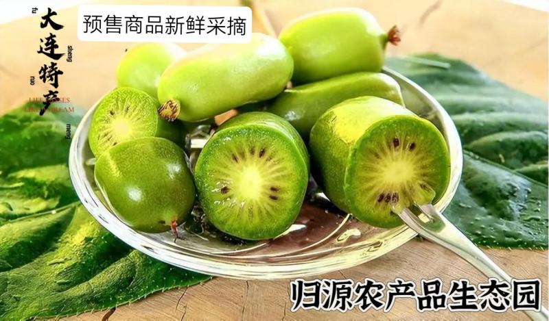 软枣猕猴桃