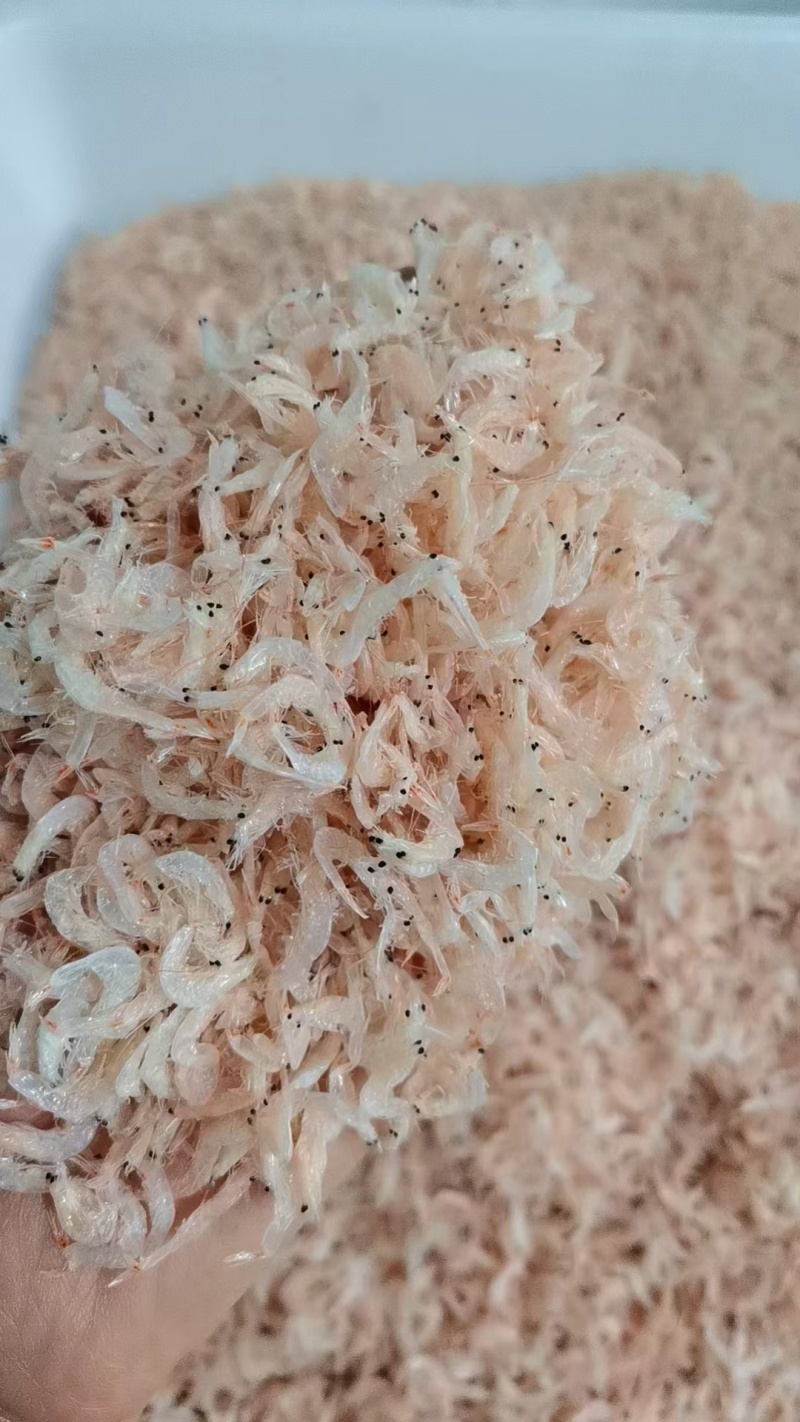 海鲜