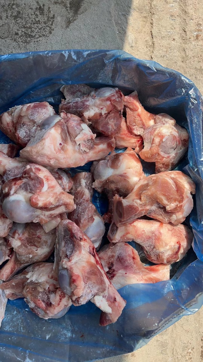 皇冠多肉大棒骨