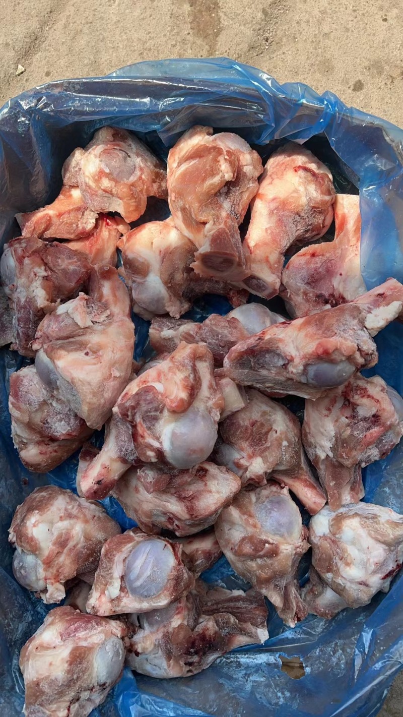 皇冠多肉大棒骨