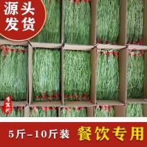 商用贡菜干整箱批发苔干商用凉拌贡菜干火锅食材贡菜特级贡菜