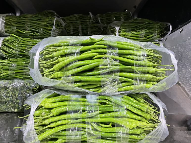 鲜辣椒堆放在货车中准备运输