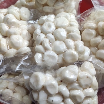 广西地理性产品:桂林马蹄。