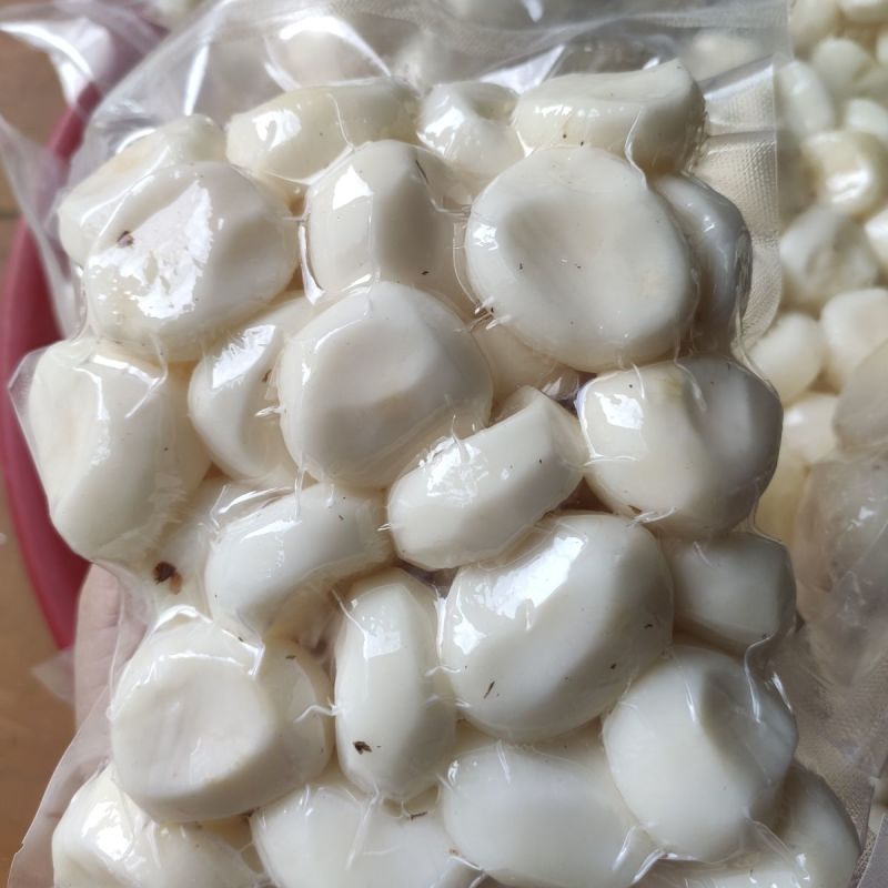 广西地理性产品:桂林马蹄。