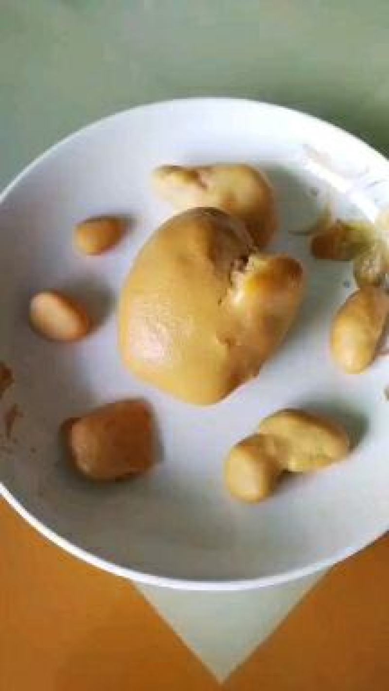 鸡宝