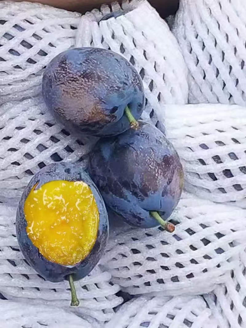 西梅