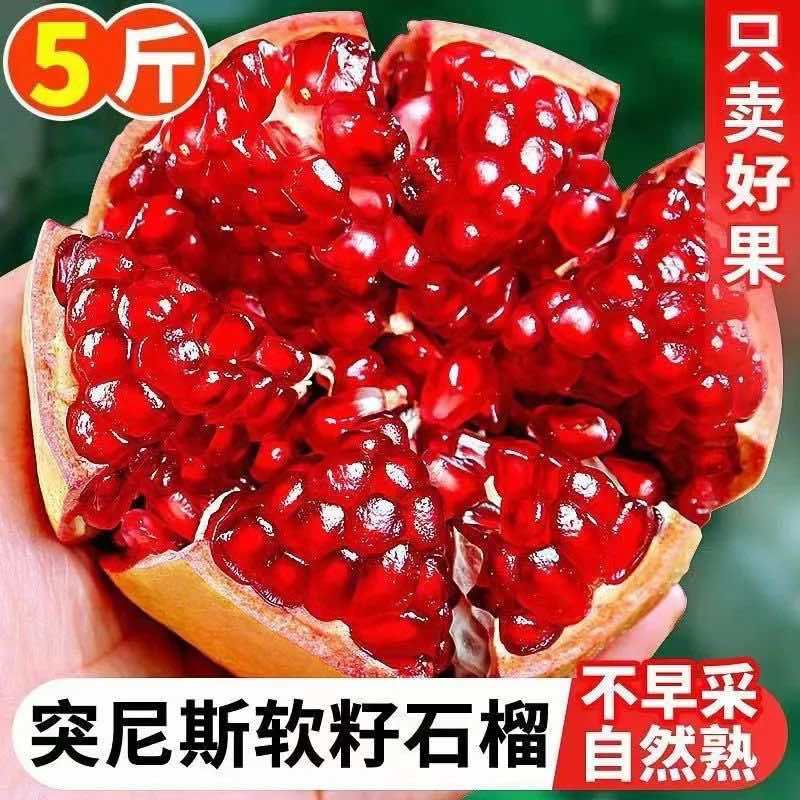 四川会理石榴一件代发社区团购需要联系