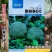欧兰德撒利亚6号早熟杂交青花菜种子4号西兰花种籽高产绿花菜