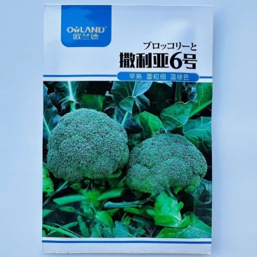 欧兰德撒利亚6号早熟杂交青花菜种子4号西兰花种籽高产绿花菜