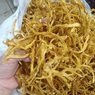 云南竹笋干