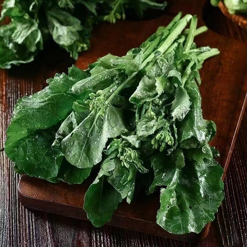 板蓝根青菜