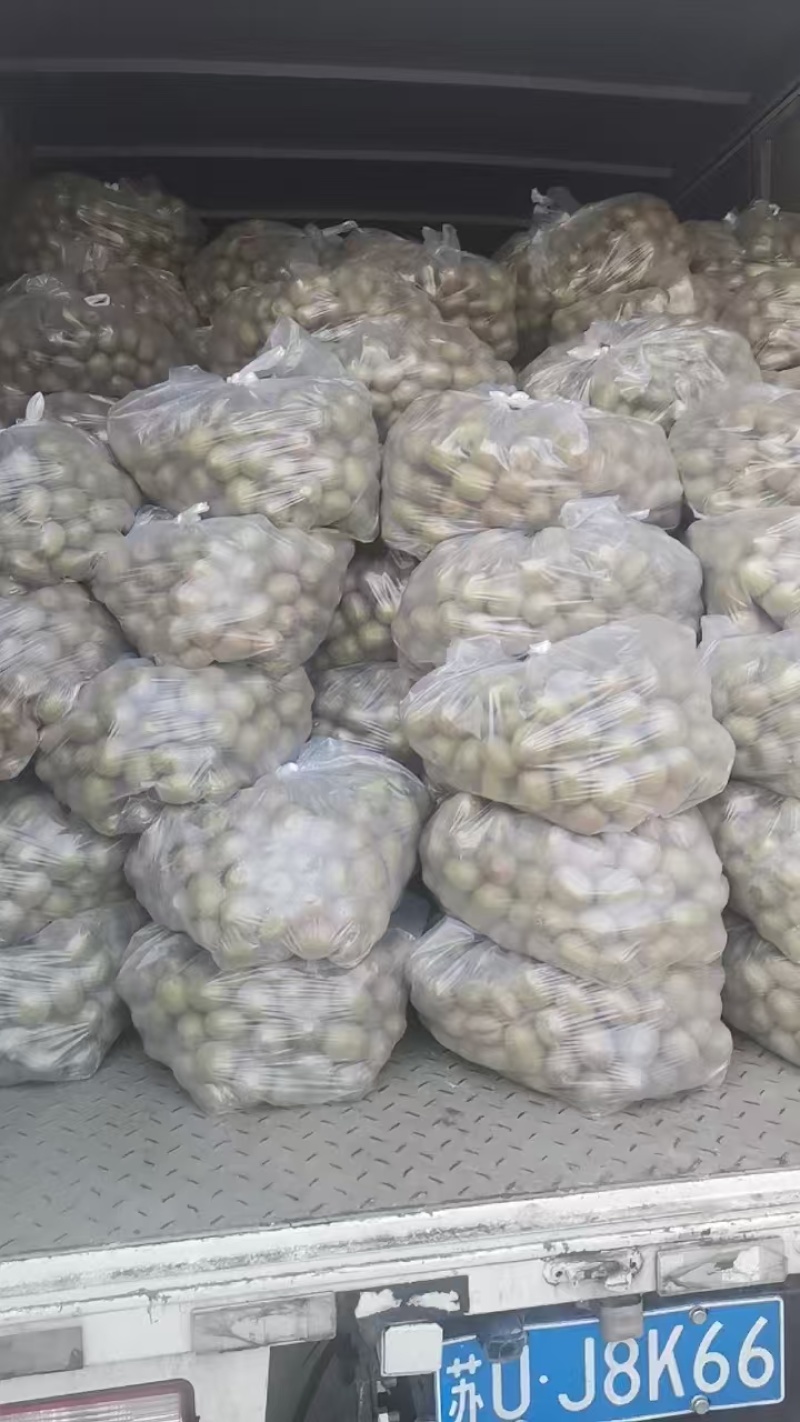 碧玉猕猴桃