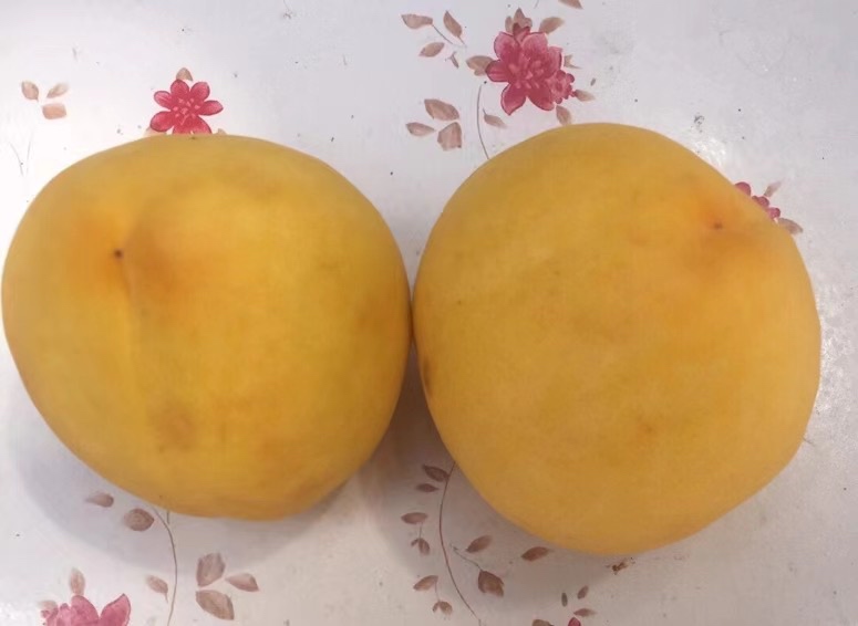 新鲜黄桃与油桃切块图