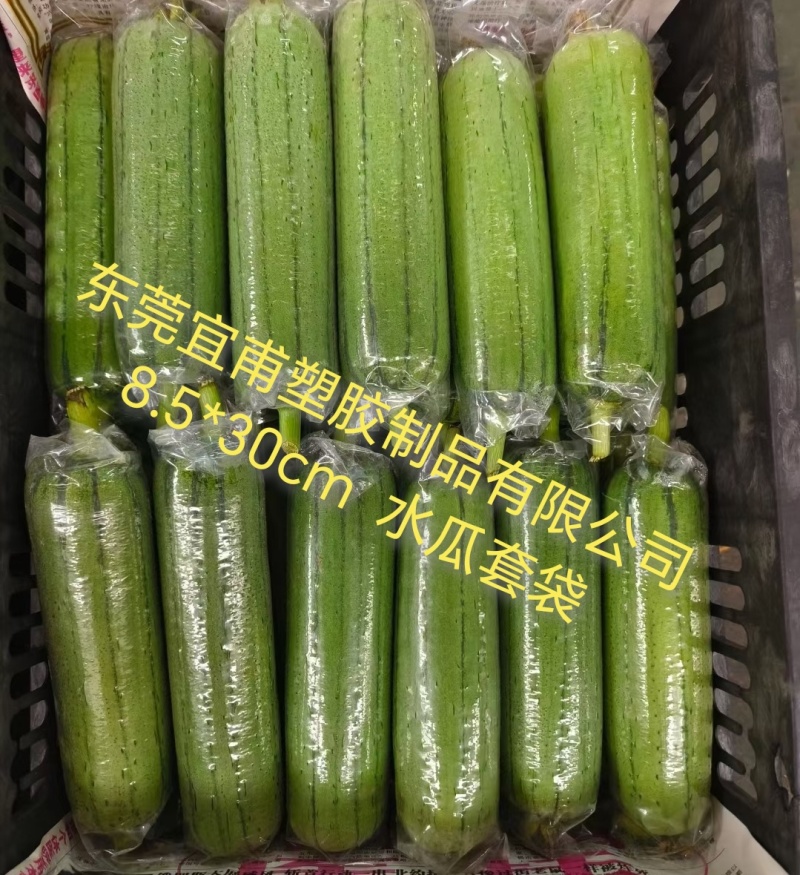 丝瓜套袋，水瓜袋，直通袋，透明袋，胶袋