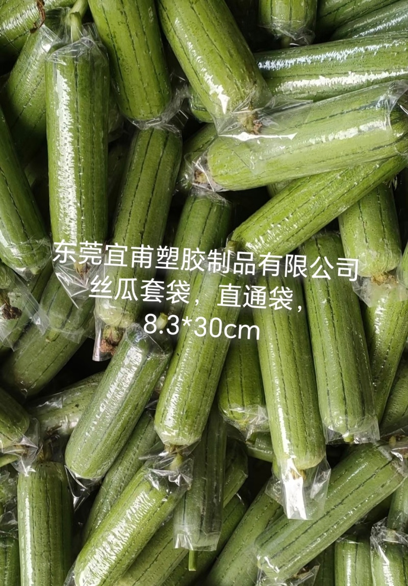 丝瓜套袋，水瓜袋，直通袋，透明袋，胶袋