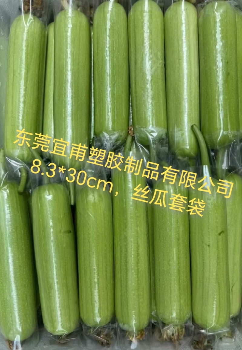 丝瓜套袋，水瓜袋，直通袋，透明袋，胶袋