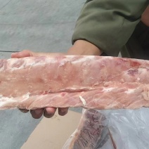 肥猪龙骨，脊骨