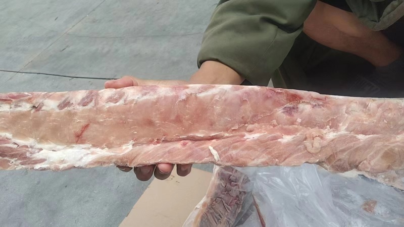 肥猪龙骨，脊骨