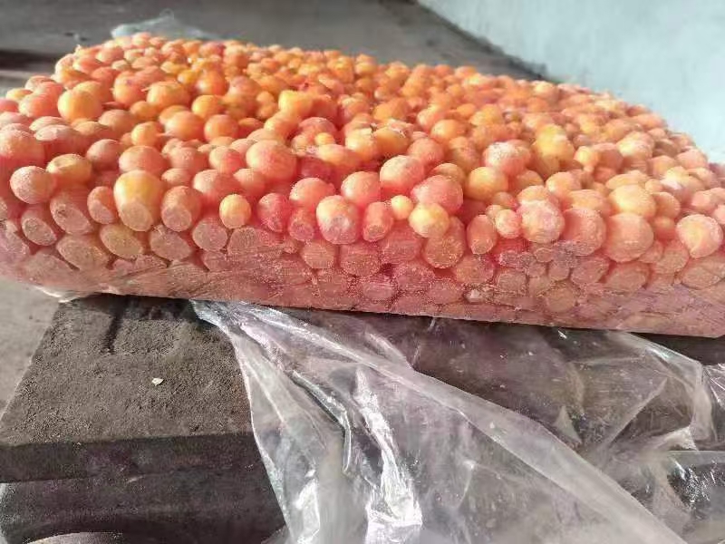 人造鸡蛋制作过程示意图