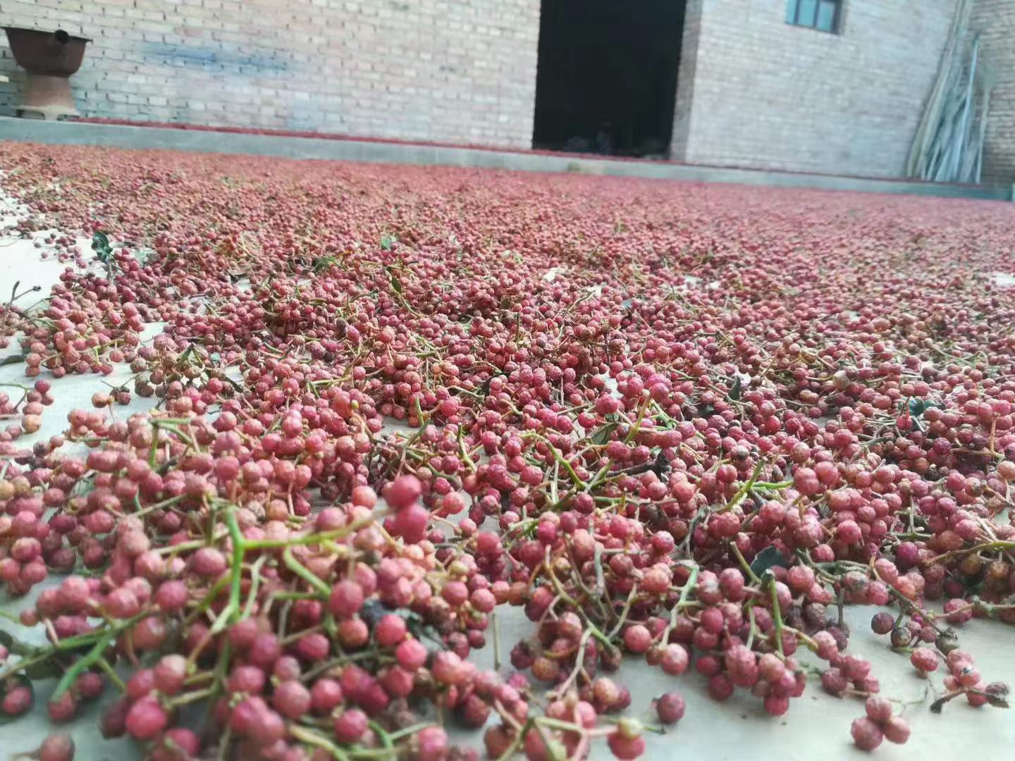 一簇完整的干制红花椒,颗粒饱满,表面有明显腺点,呈深红色至棕红色,背景为木质砧板,旁边配有放大镜显示其微观结构 花椒特写镜头