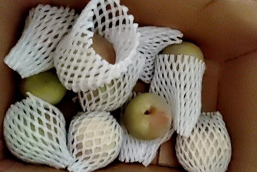 展示奥油桃在电商发货现场的包装流程,果实被精心包裹在泡沫网套中,装入印有品牌标识的纸箱,准备发往全国各地 奥油桃电商包装与物流场景