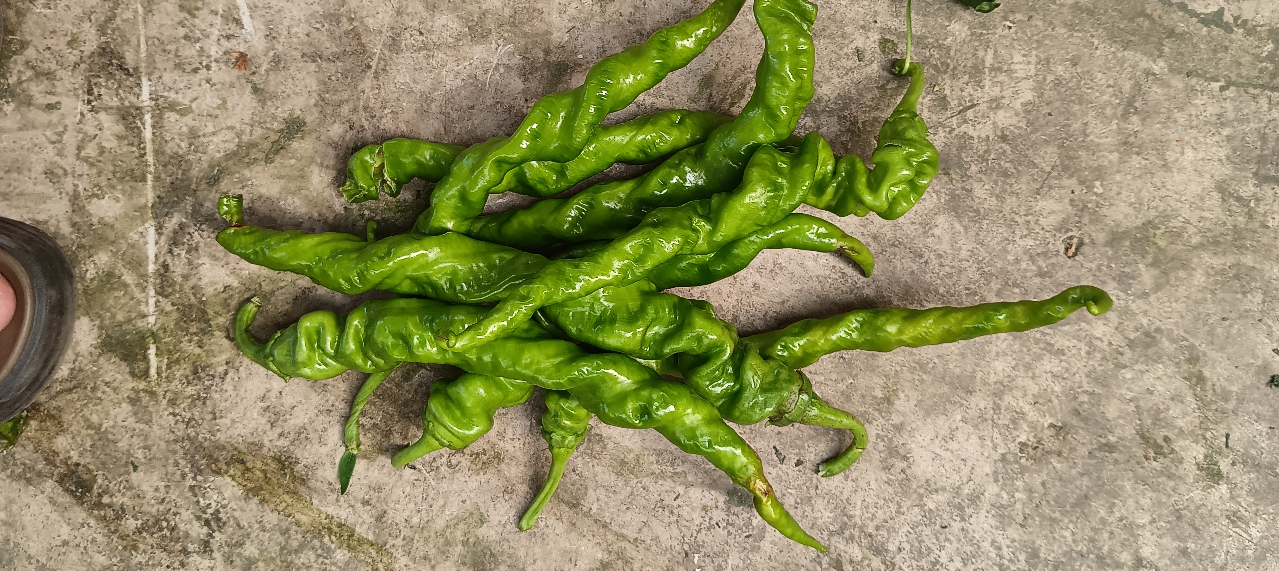 成品展示,菜花洁白,青椒翠绿,香气扑鼻 菜花炒青椒成品图