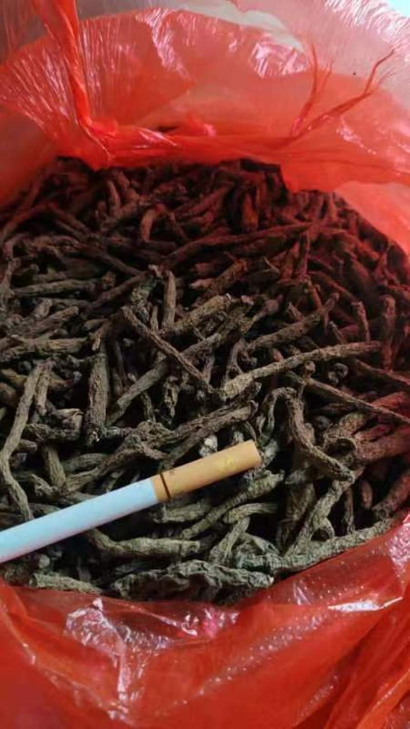 野生小叶仙茅大量现货供应，产地直发，代发全国，欢迎电联