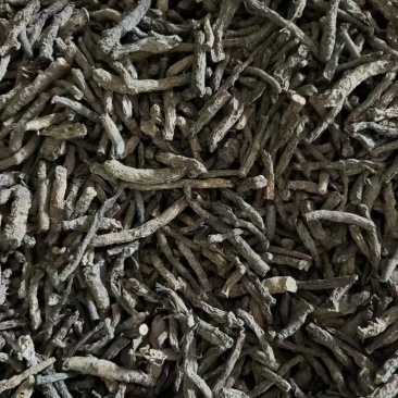 野生小叶仙茅大量现货供应，产地直发，代发全国，欢迎电联