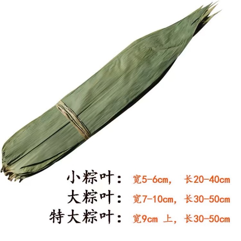 粽叶