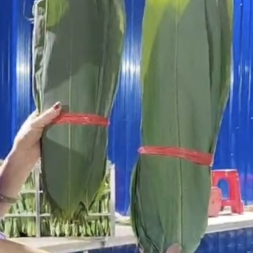 粽叶