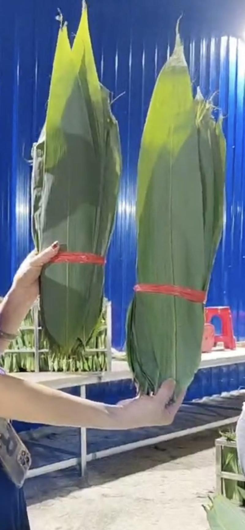 粽叶