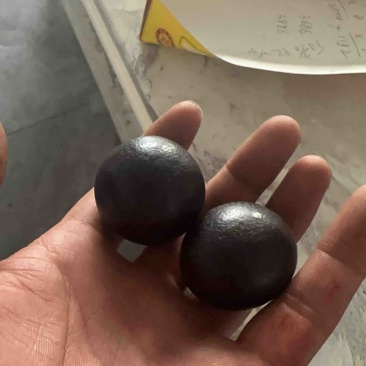 内蒙产的羊结石（羊宝）