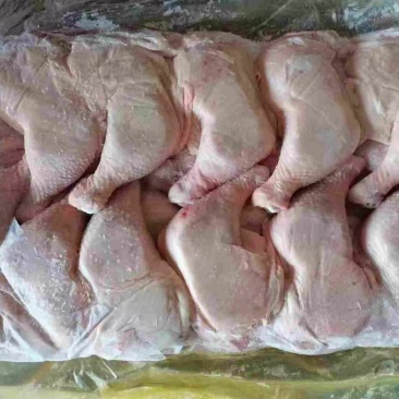 肉食鸡排腿排冻单冻价优规格全
