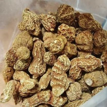 金果榄，通货240，选货290