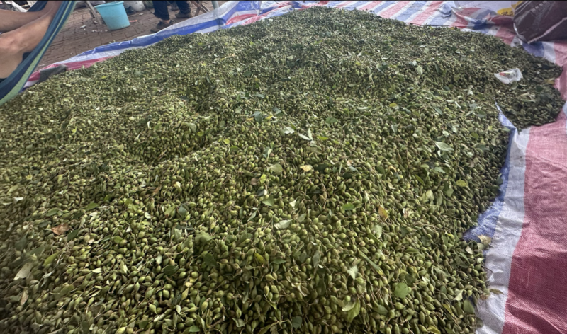 丰富营养超高性价比保质保量农产品健康之选