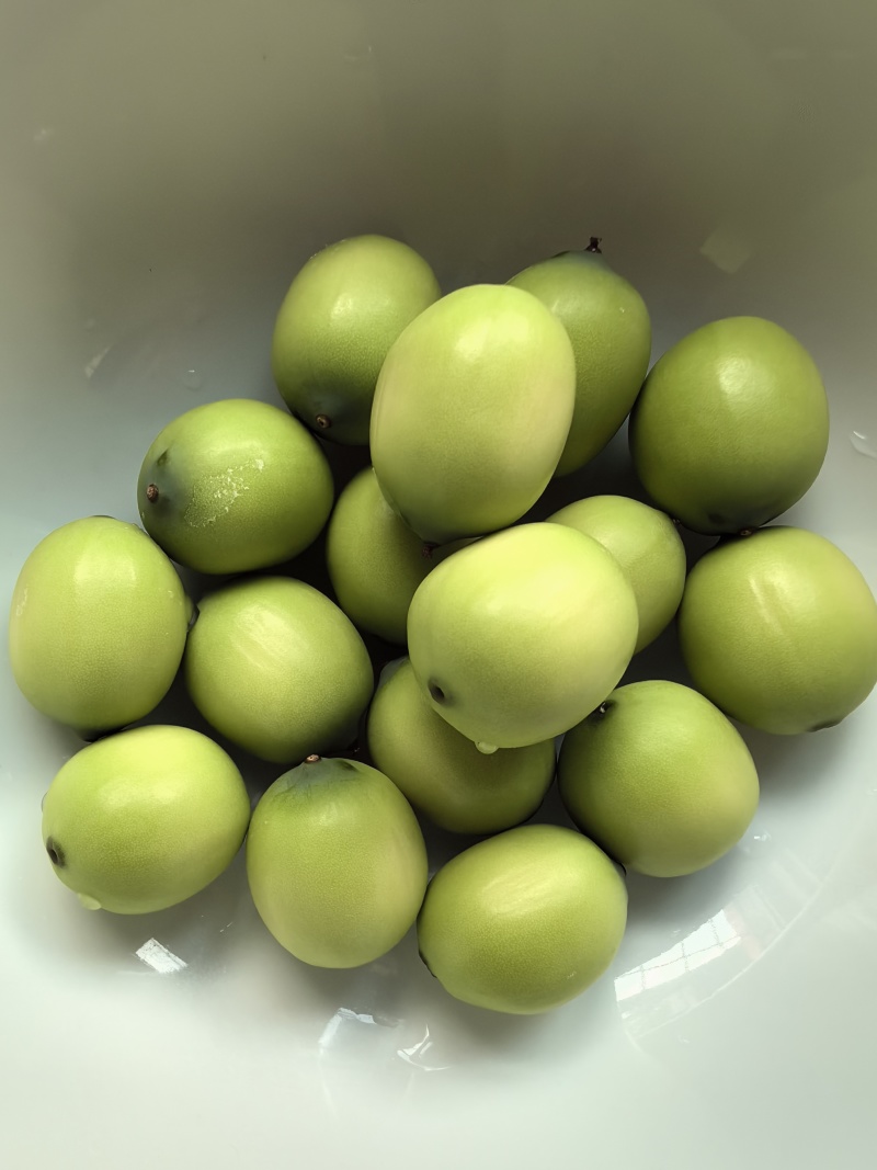 新鲜莲子