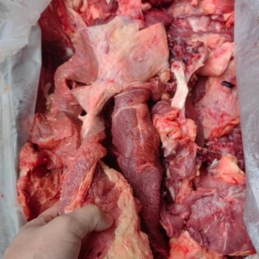 大块牛肉